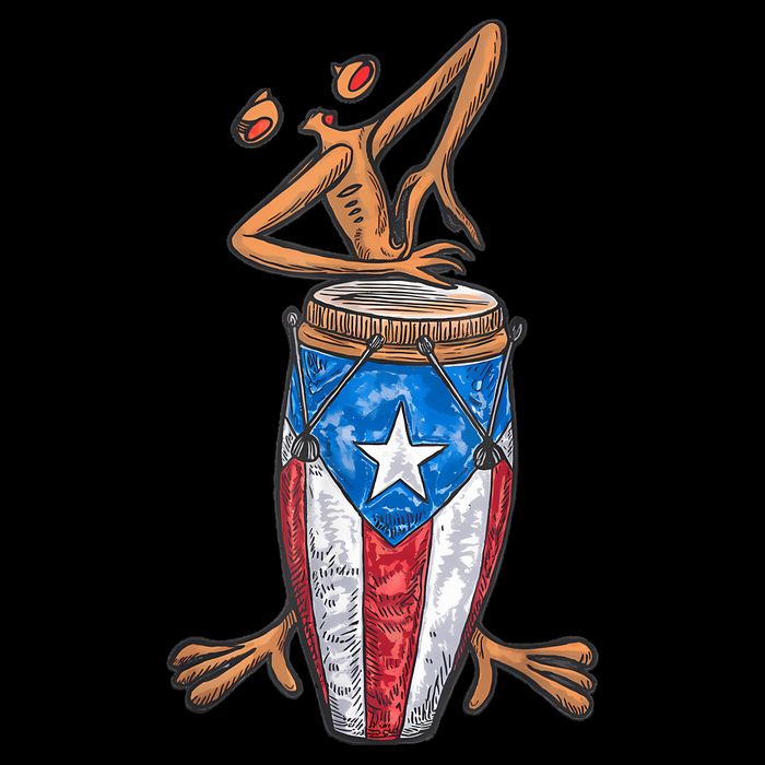 Funny Boricua Puerto Rican Coqui Taino Flag Drawstring Bag
