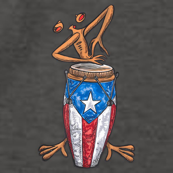 Funny Boricua Puerto Rican Coqui Taino Flag Vector Backpack