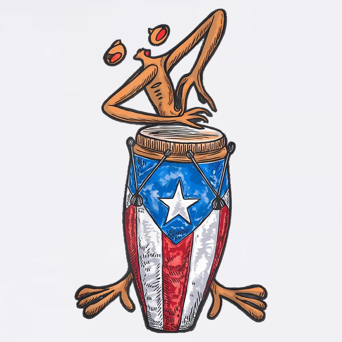 Funny Boricua Puerto Rican Coqui Taino Flag Womens T-Shirt