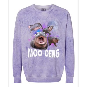 Famous Baby Pygmy Hippo Moo Deng Funny For Animal Lover Colorblast Crewneck Sweatshirt