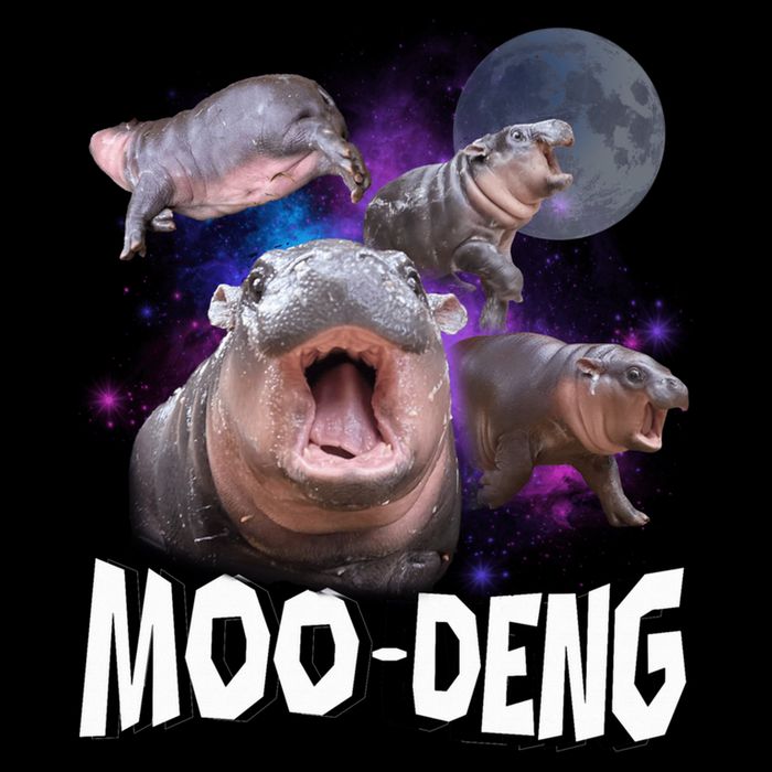 Famous Baby Pygmy Hippo Moo Deng Funny For Animal Lover Wool Snapback Cap