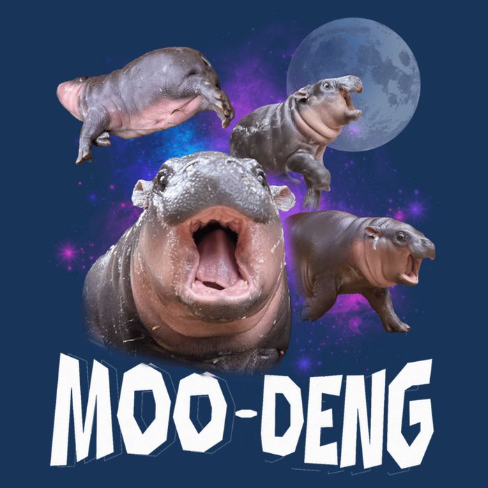 Famous Baby Pygmy Hippo Moo Deng Funny For Animal Lover 16 in Basic Backpack