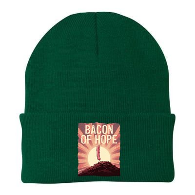 Funny BBQ Pork Pun Bacon Of Hope Pork Grillparty Barbecue Knit Cap Winter Beanie