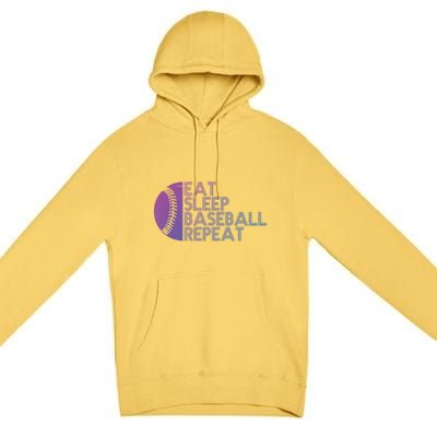 Funny Baseball Player Eat Sleep Baseball Repeat Baseball Gift Premium Pullover Hoodie