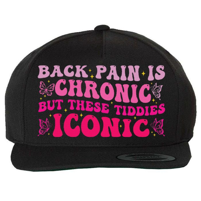 Funny Back Pain Is Chronic But These Tiddies Iconic Wool Snapback Cap