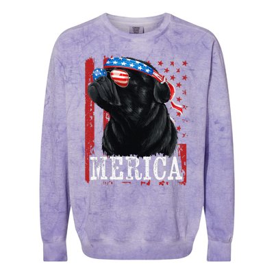 Funny Black Pug 4th of July Dog Mom Dog Dad Merica USA Flag Colorblast Crewneck Sweatshirt