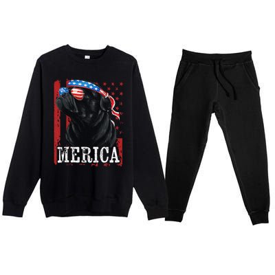 Funny Black Pug 4th of July Dog Mom Dog Dad Merica USA Flag Premium Crewneck Sweatsuit Set