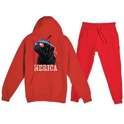 Funny Black Pug 4th of July Dog Mom Dog Dad Merica USA Flag Premium Hooded Sweatsuit Set