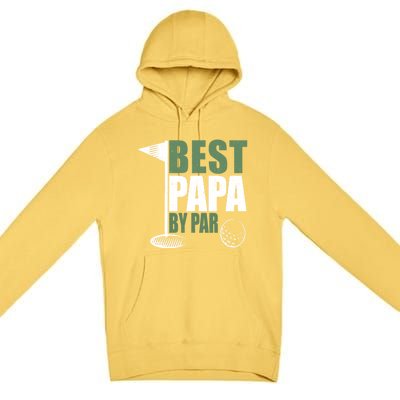 Funny Best Papa By Par FatherS Day Golf Dad Grandpa Gift Cute Gift Premium Pullover Hoodie