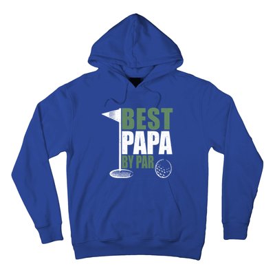 Funny Best Papa By Par FatherS Day Golf Dad Grandpa Gift Cute Gift Hoodie