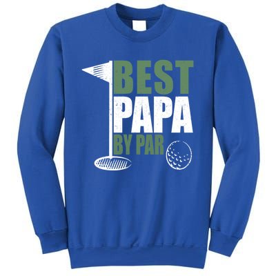 Funny Best Papa By Par FatherS Day Golf Dad Grandpa Gift Cute Gift Sweatshirt