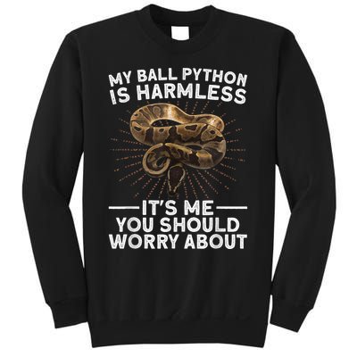 Funny Ball Python For Men Women Snake Lover Reptile Animal Sweatshirt