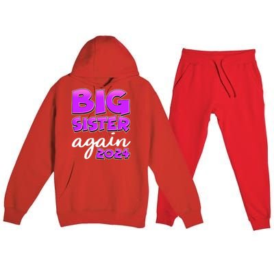 Funny Big Sister Again 2024 New Baby Sibling Premium Hooded Sweatsuit Set