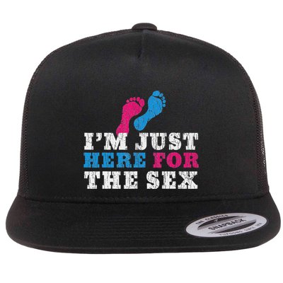 Funny Baby Shower IM Just Here For The Sex Flatbill Hat