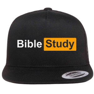 Funny Bible Study Hub Logo Sarcastic Adult Humor Flat Bill Trucker Hat