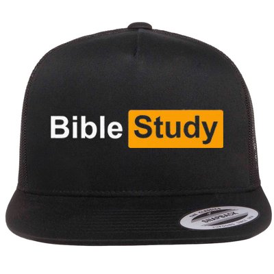 Funny Bible Study Hub Logo Sarcastic Adult Humor Flat Bill Trucker Hat