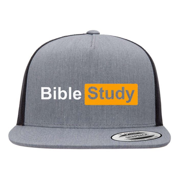 Funny Bible Study Hub Logo Sarcastic Adult Humor Flat Bill Trucker Hat