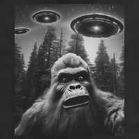 Funny Bigfoot Sasquatch Alien Ufo 7 Panel Mesh Trucker Snapback Hat