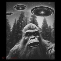 Funny Bigfoot Sasquatch Alien Ufo City Backpack