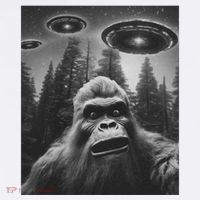 Funny Bigfoot Sasquatch Alien Ufo 11oz C Handle Ceramic Mug