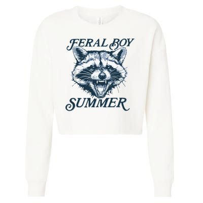 Feral Boy Summer Funny Raccoon Meme Trash Panda Raccoon Cropped Pullover Crew