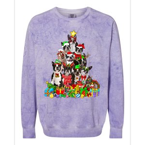 Funny Boston Terrier Dog Christmas Tree Lights Xmas Pajama Meaningful Gift Colorblast Crewneck Sweatshirt