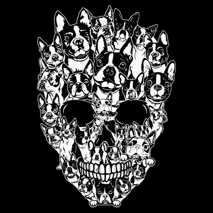 Funny Boston Terrier Skull Dog Skeleton Halloween Wool Snapback Cap