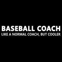 Funny Baseball Trainer Definition Baseball Coach Flat Bill Trucker Hat