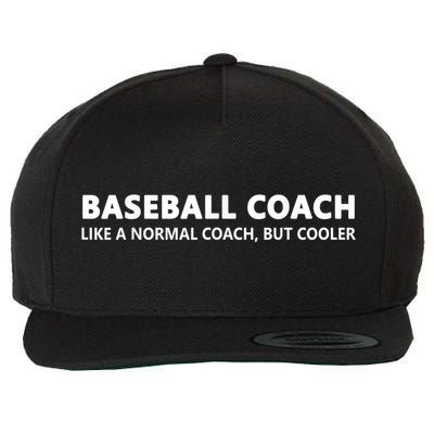 Funny Baseball Trainer Definition Baseball Coach Wool Snapback Cap