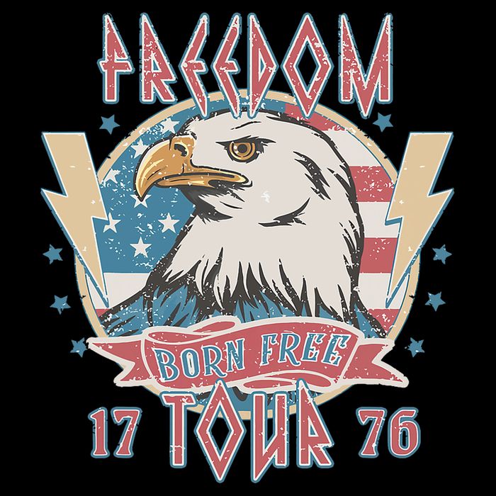 Freedom Born To Be Free 4th Of July 1776 Eagle Usa Flag 16 in Basic Backpack