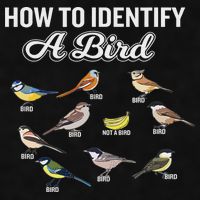 Funny Bird Watcher How To Identify A Bird Unique Birder Ladies PosiCharge Tri-Blend Wicking Tank