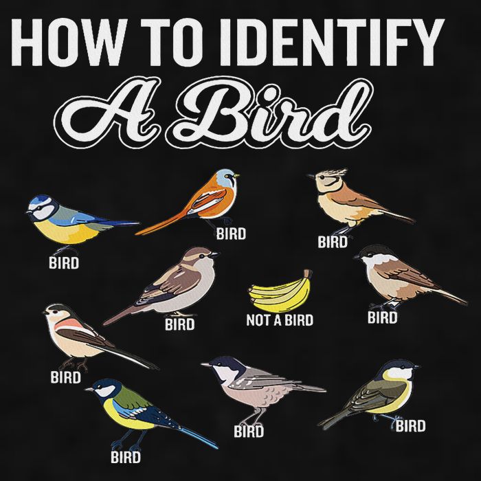 Funny Bird Watcher How To Identify A Bird Unique Birder Ladies PosiCharge Tri-Blend Wicking Tank
