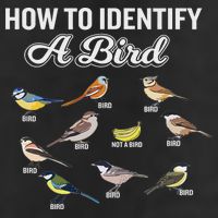 Funny Bird Watcher How To Identify A Bird Unique Birder Garment-Dyed Fleece Hoodie