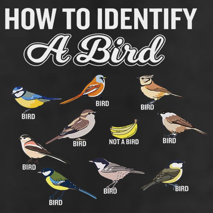 Funny Bird Watcher How To Identify A Bird Unique Birder Garment-Dyed Fleece Hoodie