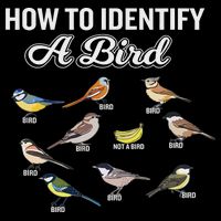 Funny Bird Watcher How To Identify A Bird Unique Birder Mousepad