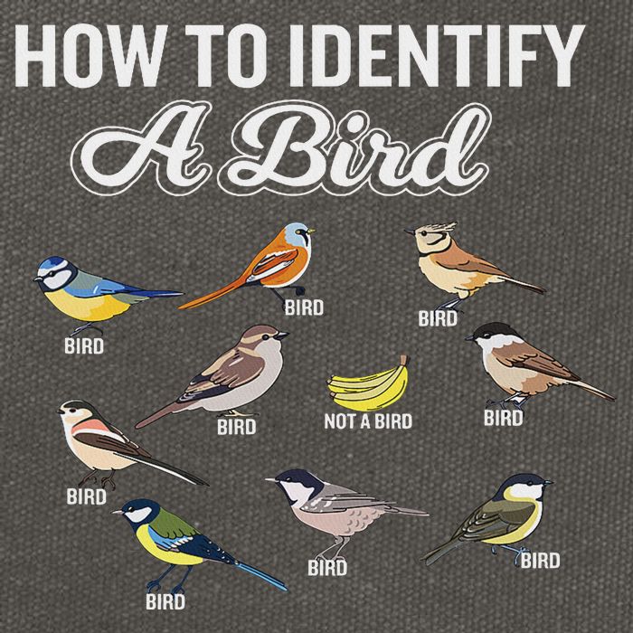 Funny Bird Watcher How To Identify A Bird Unique Birder Cotton Canvas Backpack