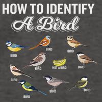 Funny Bird Watcher How To Identify A Bird Unique Birder Vector Backpack