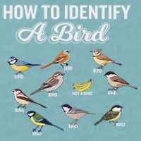 Funny Bird Watcher How To Identify A Bird Unique Birder Sueded Cloud Jersey T-Shirt