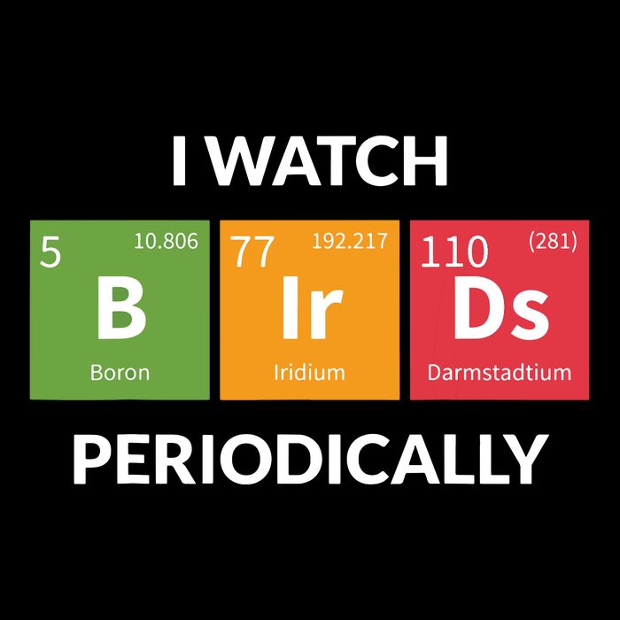 Funny Bird Watching Birding Bird Nerd 16 in Basic Backpack