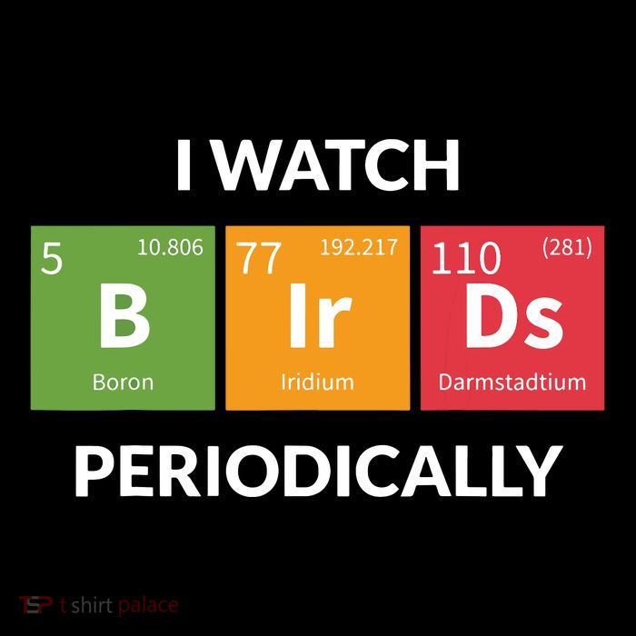 Funny Bird Watching Birding Bird Nerd Premium T-Shirt