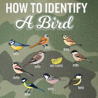Funny Bird Watcher How To Identify A Bird Unique Birder Legacy Tie Dye Trucker Hat