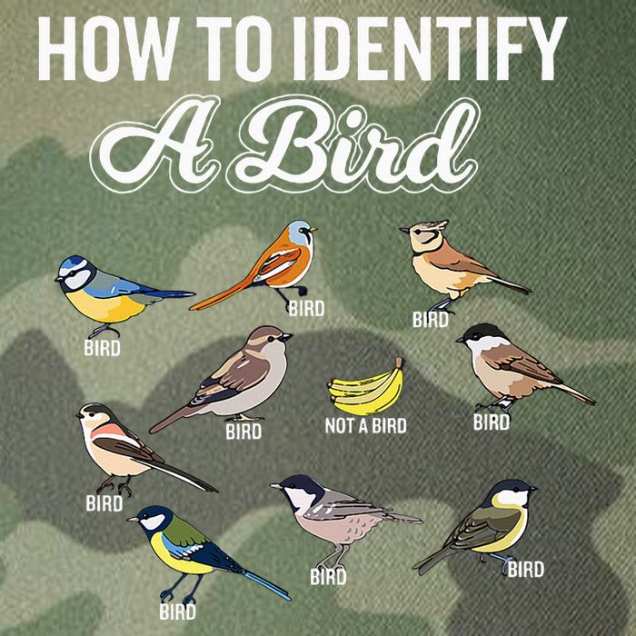 Funny Bird Watcher How To Identify A Bird Unique Birder Legacy Tie Dye Trucker Hat