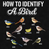 Funny Bird Watcher How To Identify A Bird Unique Birder Ladies PosiCharge Tri-Blend Wicking Tank
