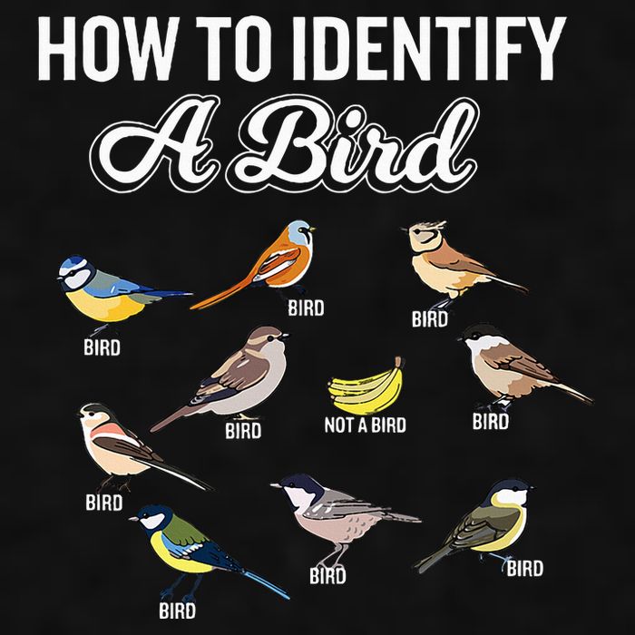 Funny Bird Watcher How To Identify A Bird Unique Birder Ladies PosiCharge Tri-Blend Wicking Tank