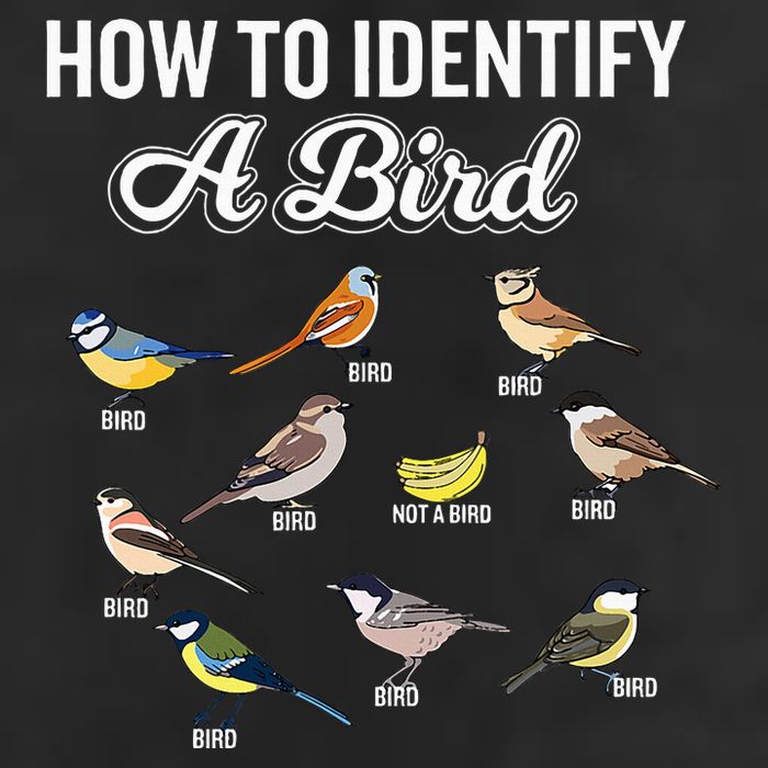 Funny Bird Watcher How To Identify A Bird Unique Birder 25L Jumbo Tote