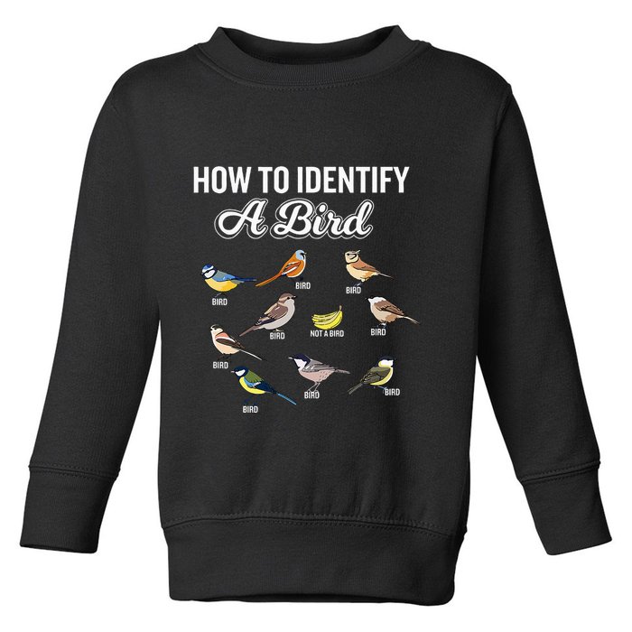 Funny Bird Watcher How To Identify A Bird Unique Birder Toddler Sweatshirt