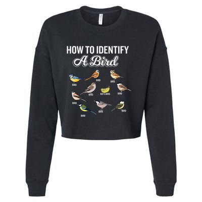 Funny Bird Watcher How To Identify A Bird Unique Birder Cropped Pullover Crew