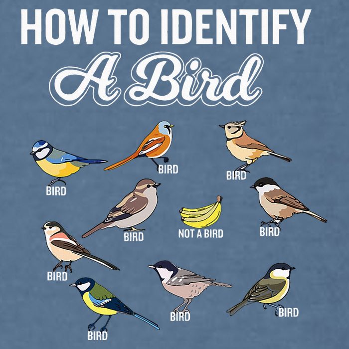 Funny Bird Watcher How To Identify A Bird Unique Birder Garment-Dyed Sweatshirt