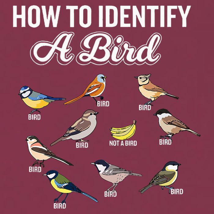Funny Bird Watcher How To Identify A Bird Unique Birder 16oz Travel Tumbler