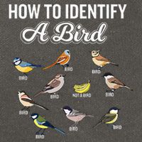 Funny Bird Watcher How To Identify A Bird Unique Birder Cotton Canvas Backpack